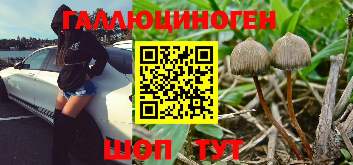 Ноябрьск  Псилоцибиновые грибы Magic Shrooms  Вход с VPN 