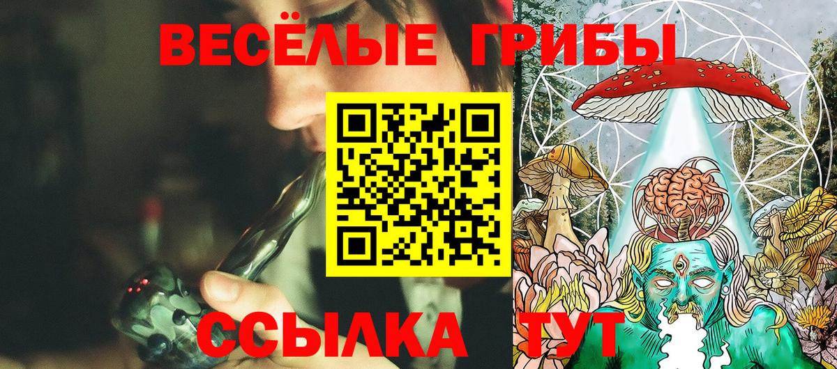 Псилоцибиновые грибы Cubensis Ноябрьск